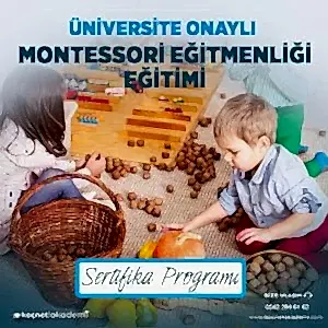 Üniversite Onaylı Montessori Eğitmenliği Eğitimi