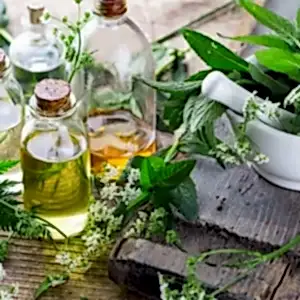 Fitoterapi Eğitimi Sertifikası