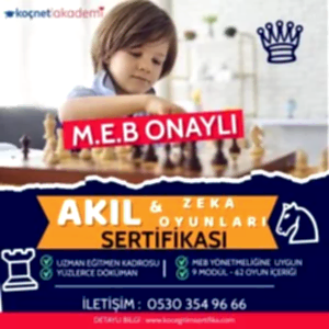 M.E.B. Onaylı Akıl-Zeka Oyunları Sertifikası