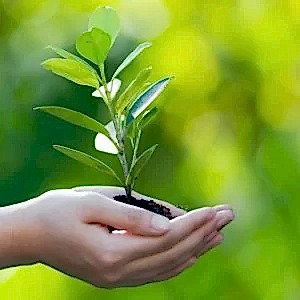 Manevi Rehberlik ve Danışmanlık Eğitimi