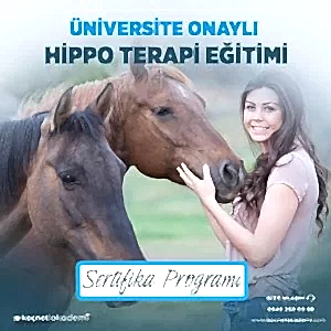 üniversite onaylı Hippo Terapi Eğitimi Sertifikası Programı