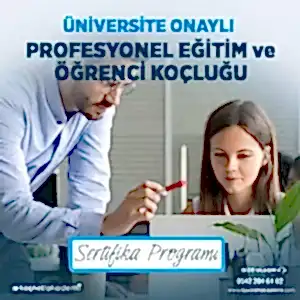 üniversite onaylı Profesyonel Eğitim ve Öğrenci Koçluğu Sertifika programı