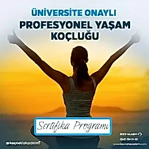 üniversite onaylı Profesyonel Yaşam Koçu Sertifika programı