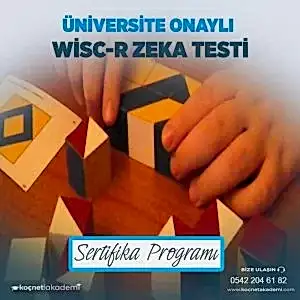 Üniversite Onaylı WISC-R Zeka Testi Eğitimi