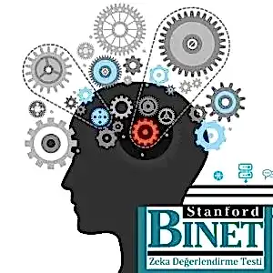 Stanford Binet Zeka Ölçeği Eğitimi